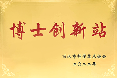 丽水市博士创新站