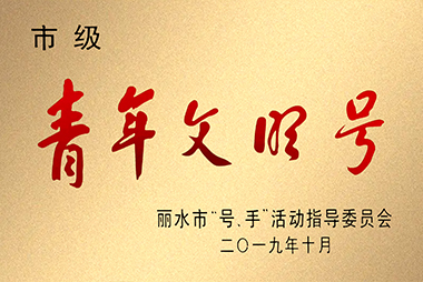 市级青年文明号